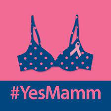 #YesMamm logo